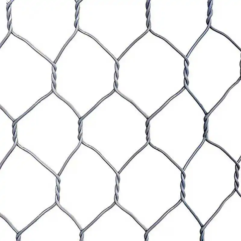 Hot Sale Corrosion Resistance Woven Wire Mesh Gabion 100x80x50 River Control Gabion Welded Galvanized Iron Wire Chain Link Mesh