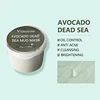 Avocado Dead Sea Mud