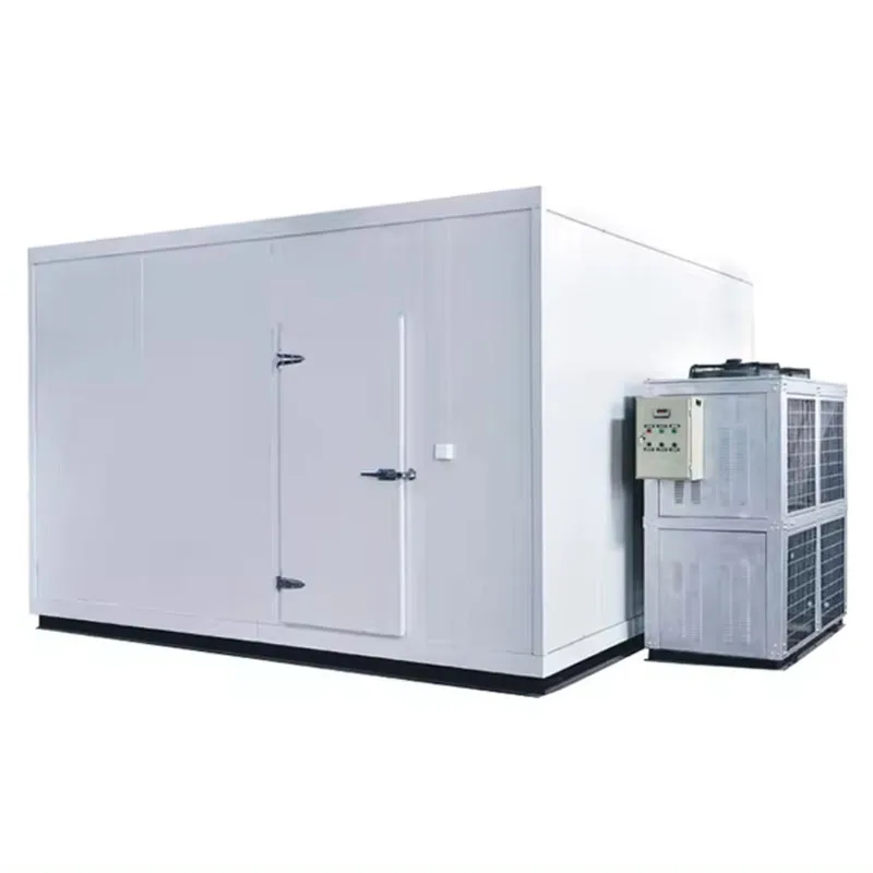 Cold Room Refrigeration Compressor Racks, Low Temperature Piston Parallel Condensing Unit for Fishery