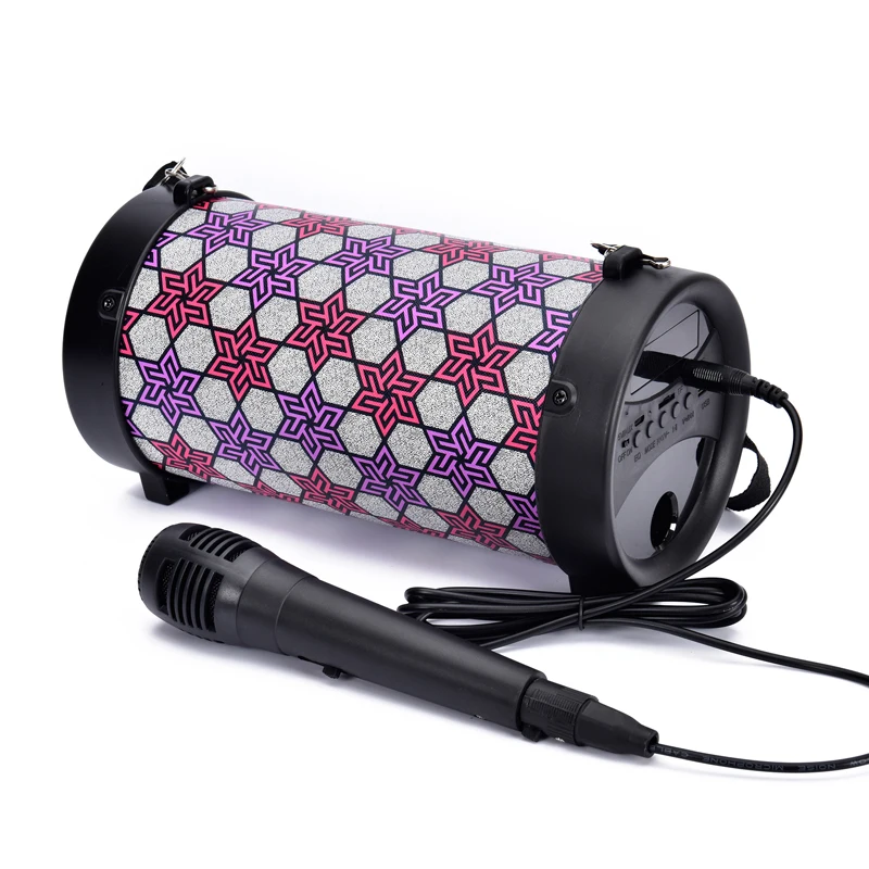 portable speaker with microphone jack