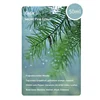 Bois de pins secret