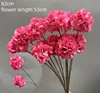 hortensia de dos cabezas