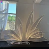 Conception 5