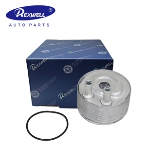 Best OEM Nissan Accessories Engine Parts Auto Cooling System Oil Cooler for Nissan Navara Np300 D40 YD25 21304-BN301 21305-EB300