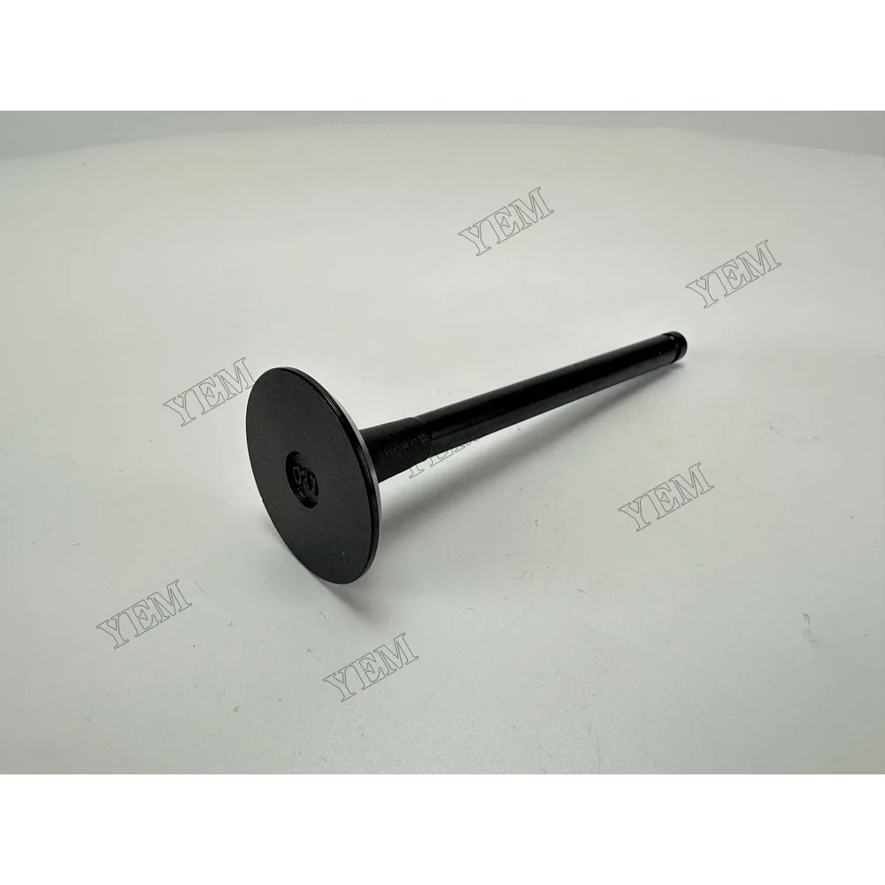 Intake Valve for Isuzu 3KC2 Engine Parts 4