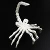 24cm white face-hugging bug