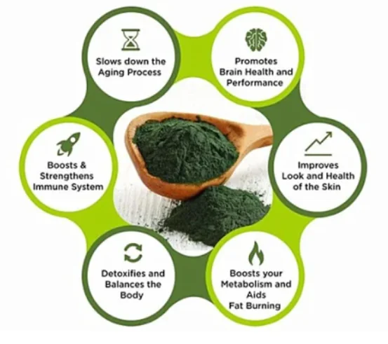 Algae Powder Organic Chlorella Powder 1Kg  99% Broken Wall Spirulina Chlorella Powder