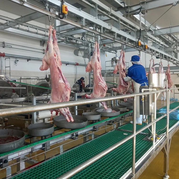 Iso Sheep Alibaba.com: Complete Turkey Slaughterhouse for Sheep Goat ...
