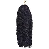 Ricciolo birmano-1B#