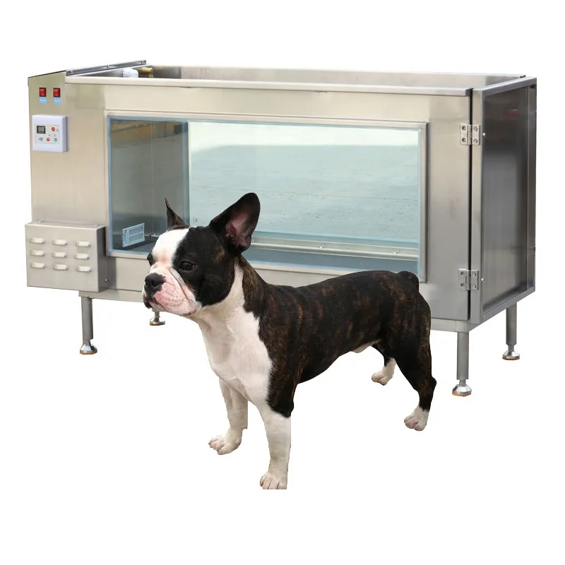 Motorized Treadmill Hydrotherapy Treadmill For Dogs Near Me Dog