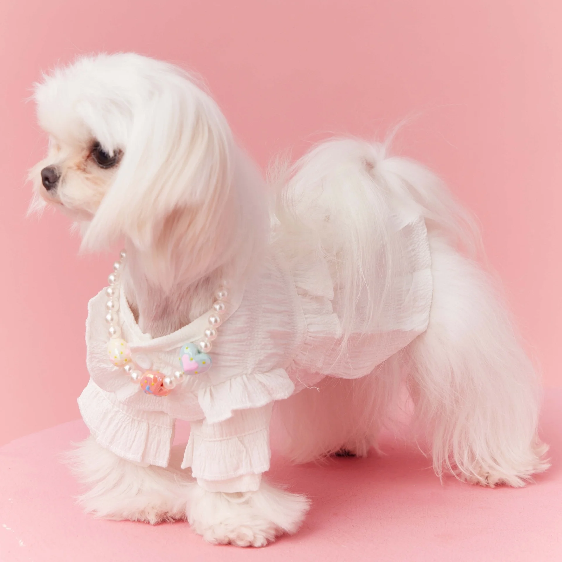 Shop High Quality Pet Apparel - Cute Solid Color Lace White Clothes for Dogs Shop High Quality Pet Apparel - Cute Solid Color Lace White Clothes for Dogs