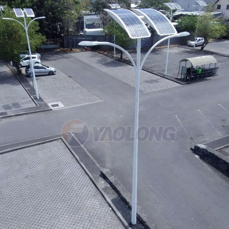 Yaolong 6M 8M 9M 12M Stainless Steel Outdoor Led Solar Garden Street Light With Poles Iron Road Lamp Pole