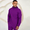 Pourpre