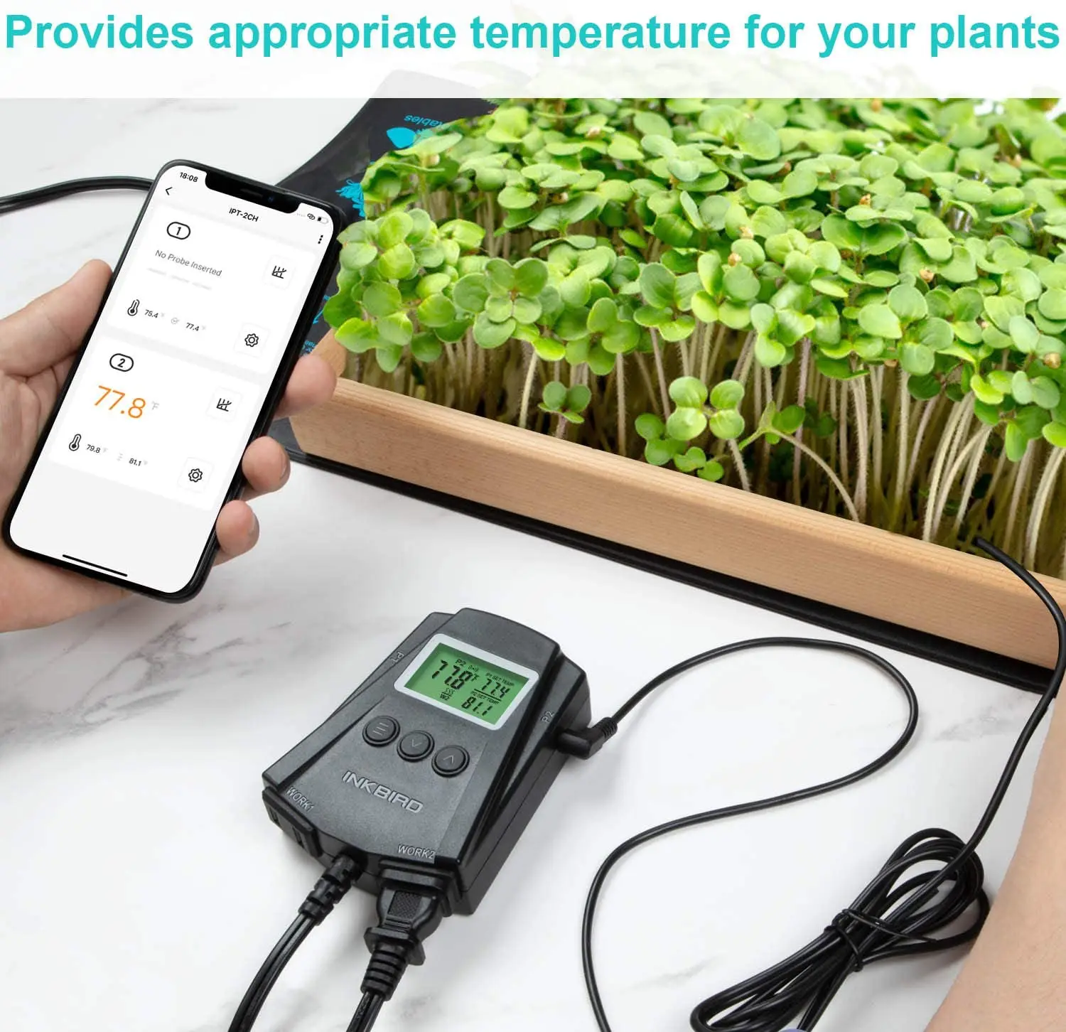 Inkbird WiFi Reptile Thermostat Temperature Controller with Probes and  Outlets, IPT-2CH Reptiles Heat Mat Thermostat