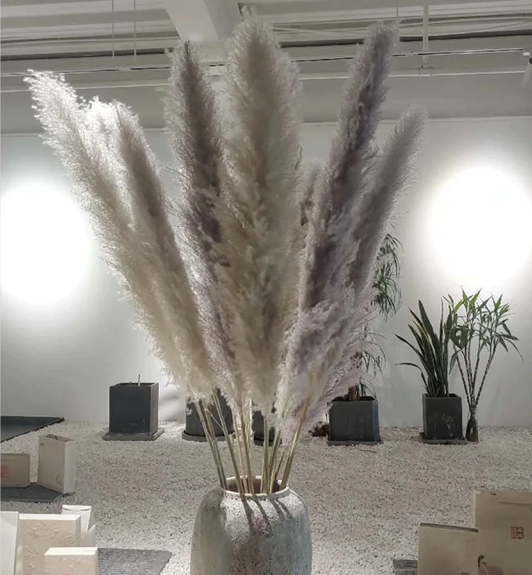 Uo New Arrivals Natural Artificial Flowers Large Pampas Gray Pampas