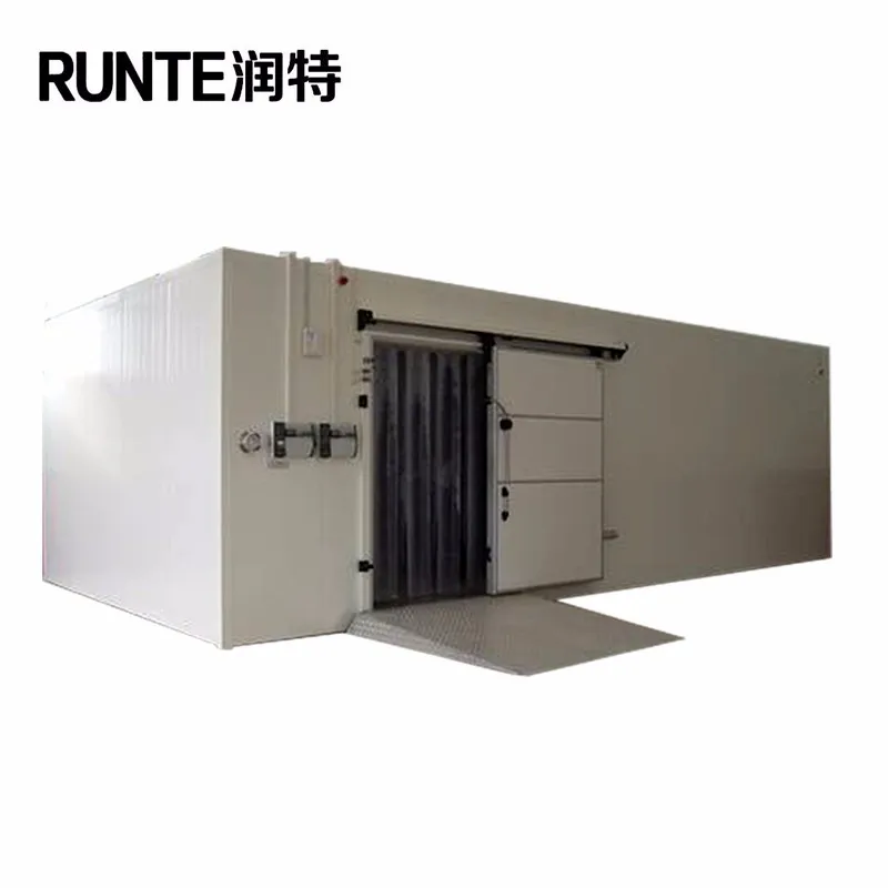Refrigeration/ Walk in Fridge/ Cold Room Freezer for Sales