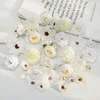 Serie blanca (25 flores)