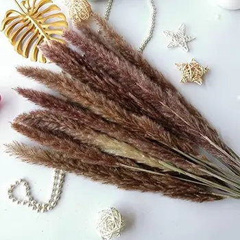 15pcs Dried Wedding Pampas Grass Natural Flowers Home Party Room Ornaments Pampas Bulk for Boho Room Coffee Table Decoration