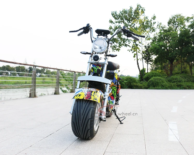 1000W Double Set Battery Big Wheel China Electric Scooter Citycoco