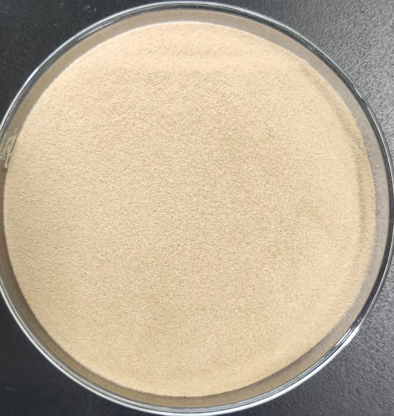 Фабрика поставляет микроэкологический баланс 200 миллиардов бацилл Subtilis выращивание креветок в помещении