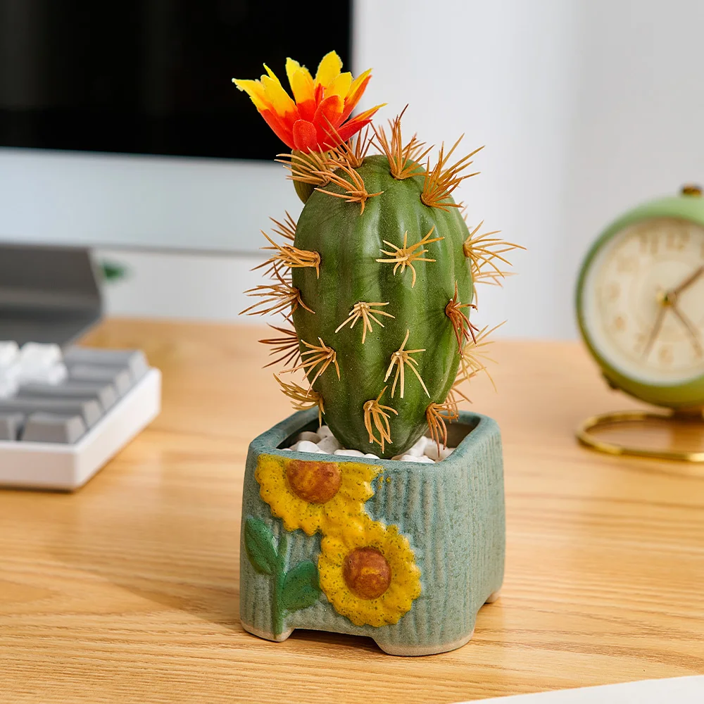 Japanese Hand-Painted Succulent Plant Pots for Living Room