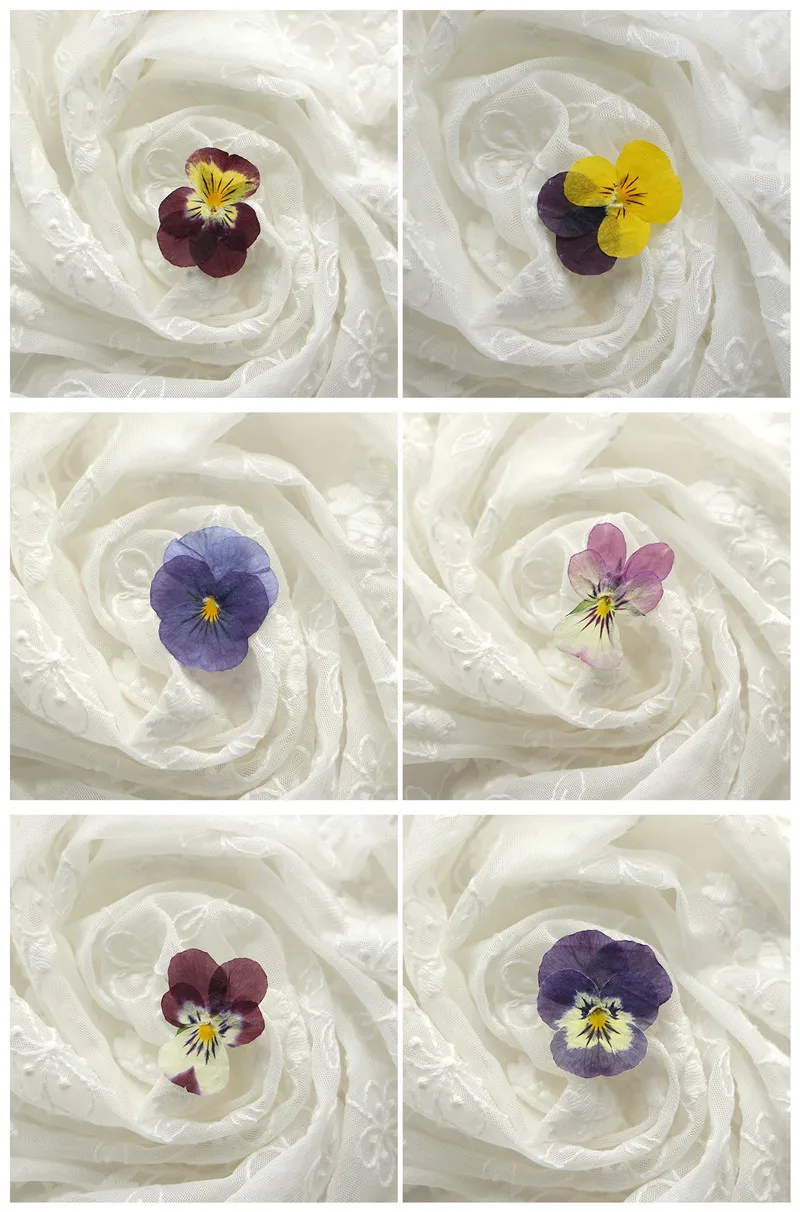 Wholesale Dry Pressed Flower Pressed Viola Tricolor Dried Pressed Pansy