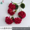 Hortensia Candy de 5 cabezas HN Deep Rose Red sin hojas