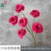 Six-headed Bubble Rose XWJ Rose Red