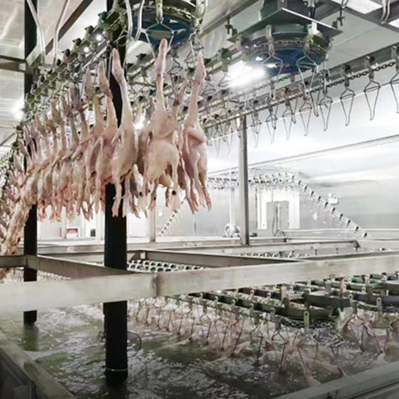 TCA High Quality Automatic Quail Poultry Chicken Slaughtering and Cutting Machine Line Equipment
