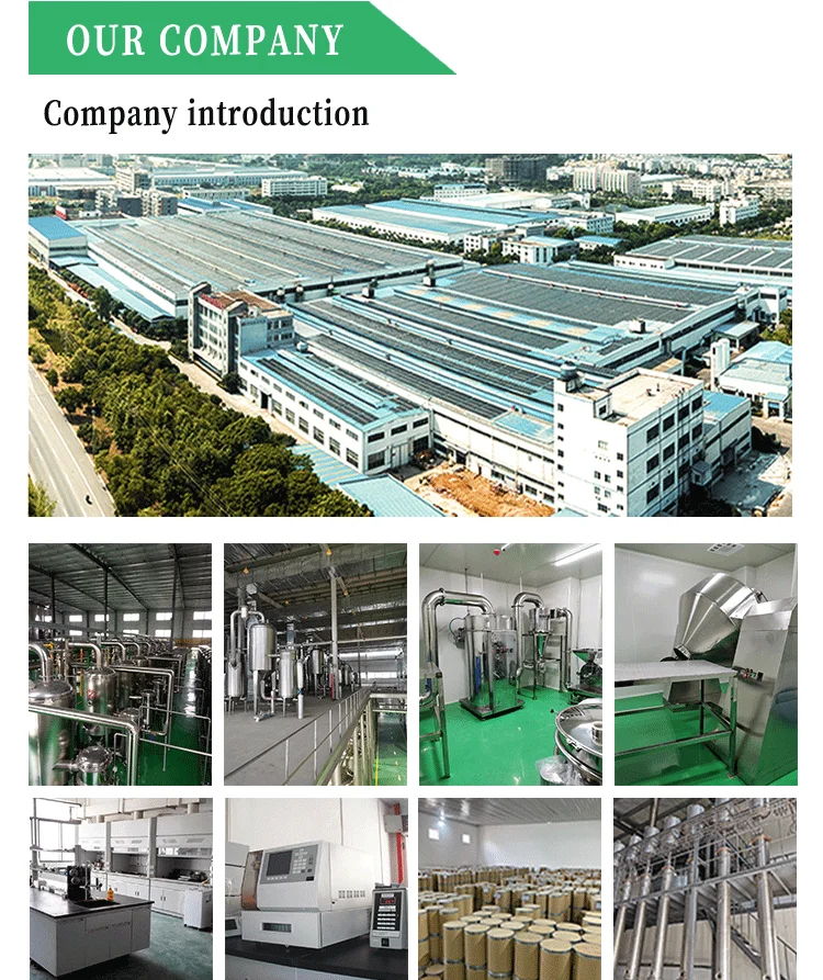 Private Label Supplement Superfoods Green Protein Powder Plant Based