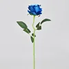 Medium-sized, textured blue