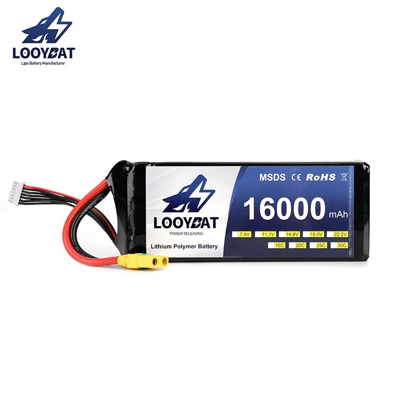 Batterie au lithium 12,8 V - Victron Energy