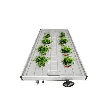 Ebb and flow greenhouse flood tray greenhouse rolling bench