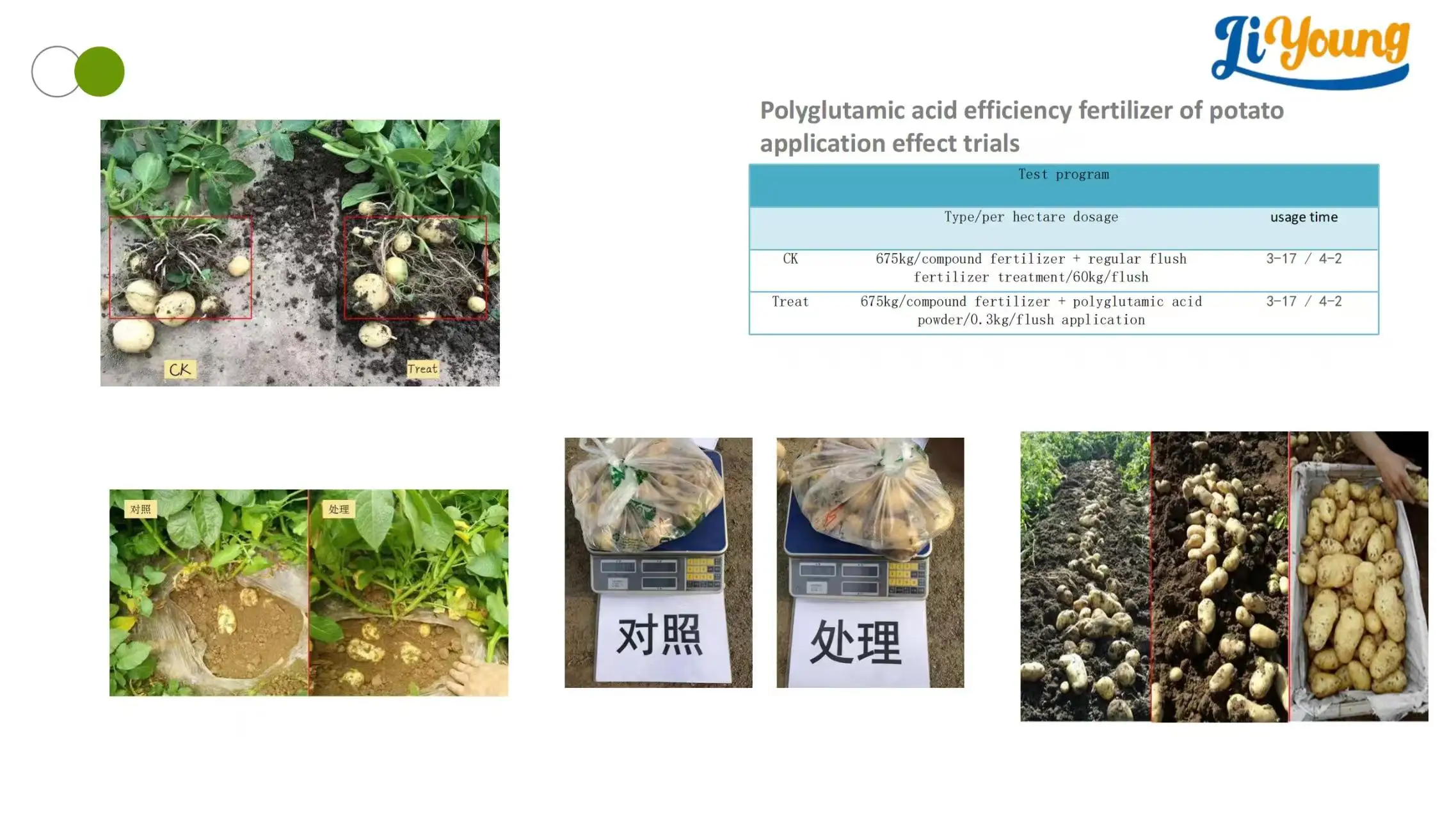 Shop Organic Fertilizer Humic & Polyglutamic Acid & Ca & Mg-Detailed Image 3