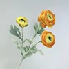 Peonía naranja
