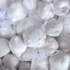 Sac filet chien blanc-6cm