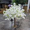 Fiore di ciliegio S15