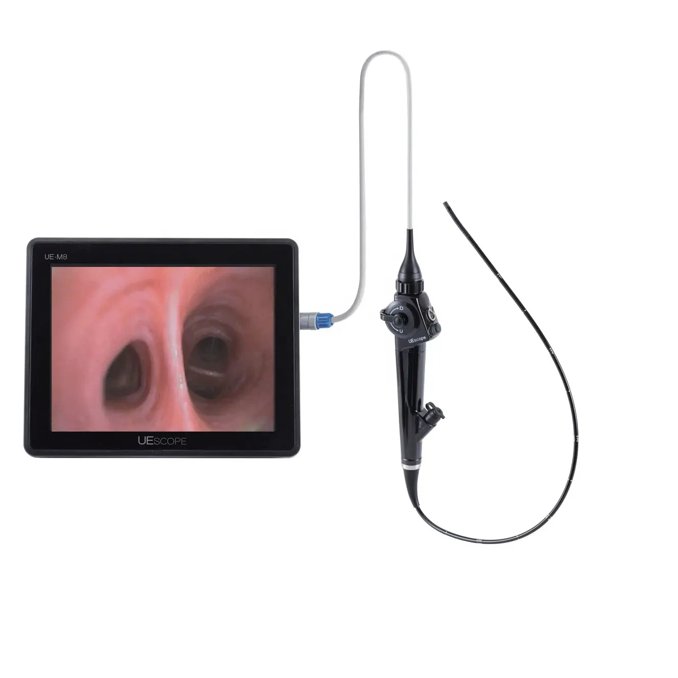 Draagbare video flexibele endoscoop medische endoscopie 4k camera-endoscopiesysteem Ent Scope voor chirurgie