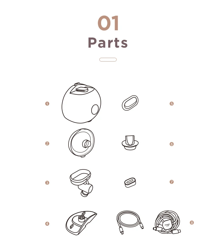 new-cup_02.jpg