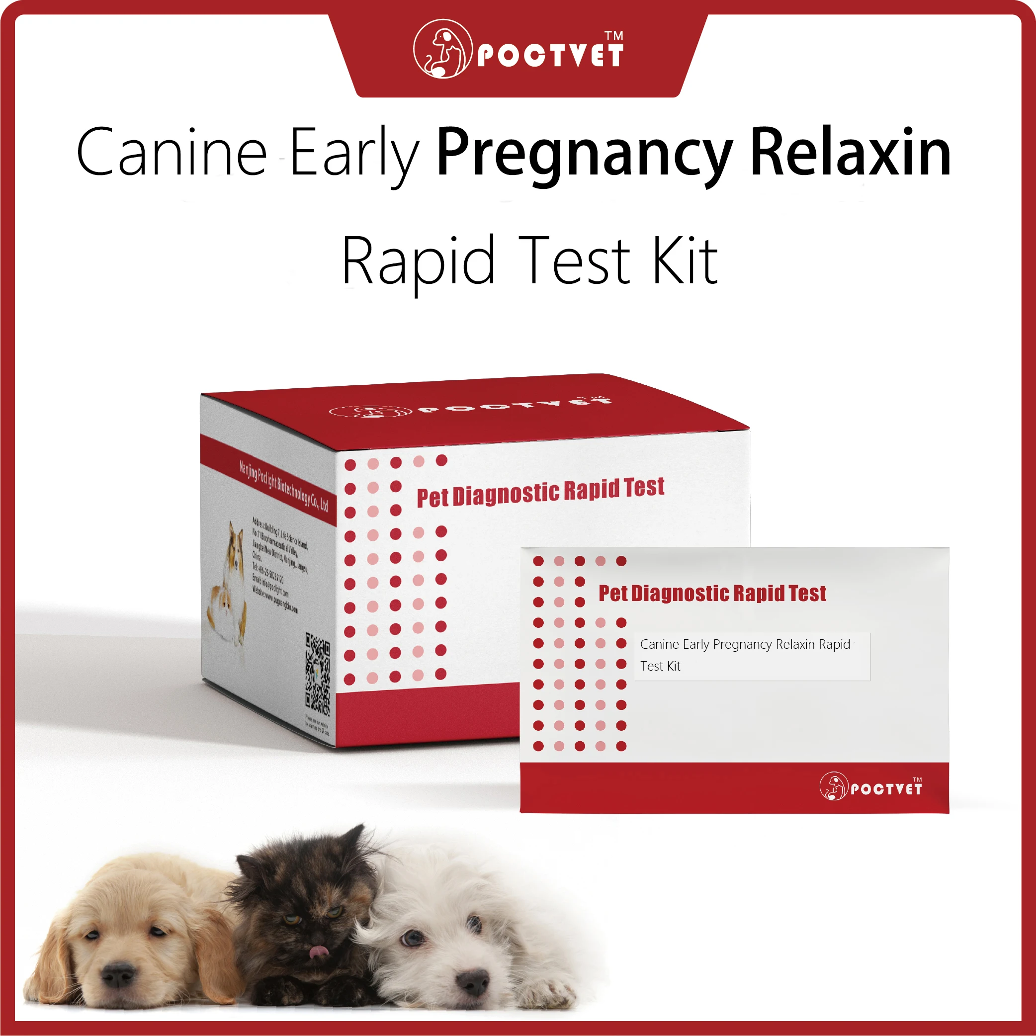 Canine And Feline Pregnancy Test Kit Animal Pregnancy Test Card For   H6182a99e5b6942a0911b89d7854a5026A 