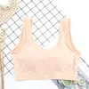 Wholesale Women's Bralette