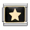 ICJ707 Plata