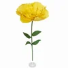 Giallo senza supporto