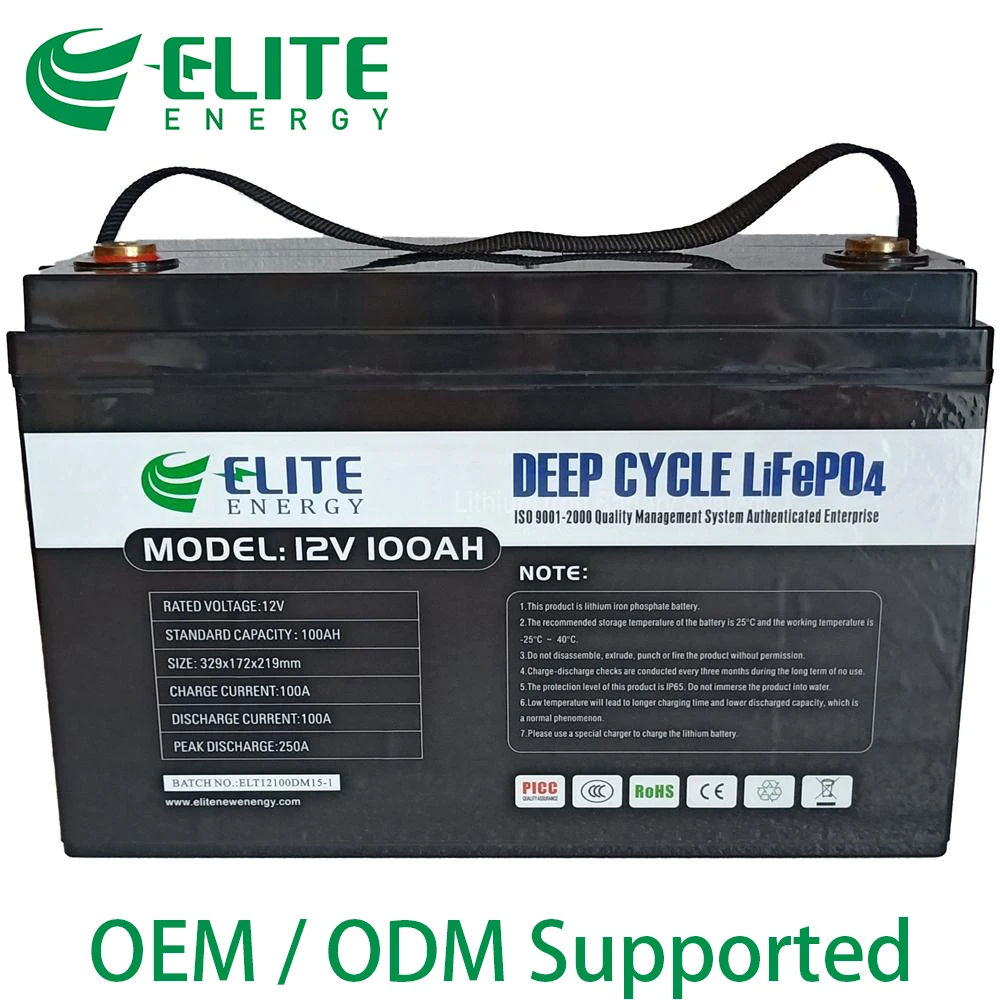 ELITE 12V 100Ah Deep Cycle Lithium Iron Phosphate Batteries LiFePO4 Battery Pack Smart BMS for Solar Energy Storage