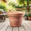 Terra cotta