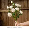 3 white roses with burnt edges