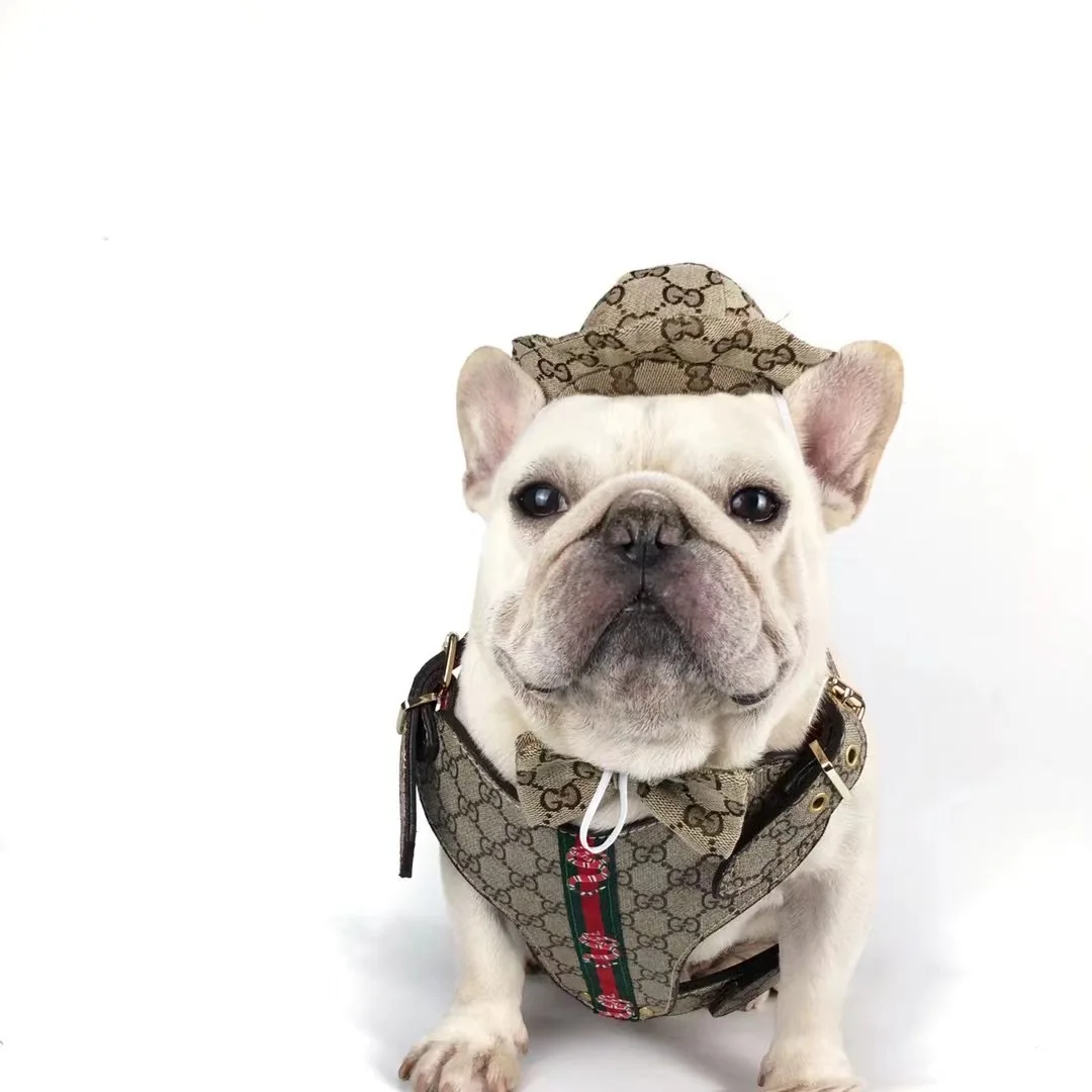 Zhengzhou Fashion Dog Clothing& Accessories Co., Ltd. - Pet clothes ...