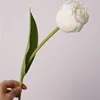 #1 blanc
