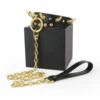 Gold+Metal leash