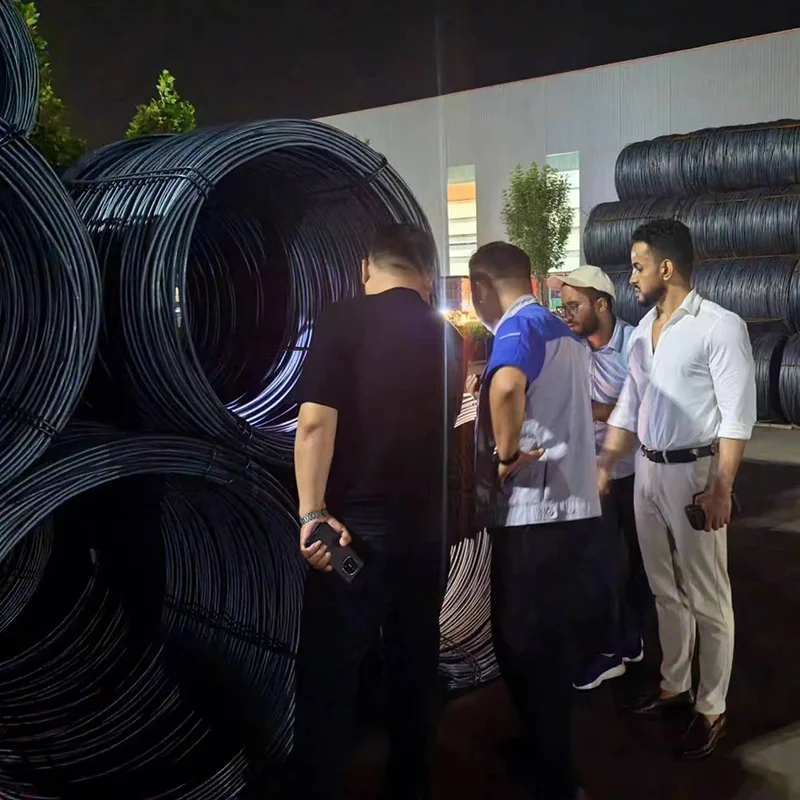 Low Price Q195 Q235 Construct Spring Type Iron Steel Wire 1.5mm-10mm Dia Carbon Steel Wire for Binding Wire